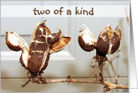 Two Of A Kind Pods card