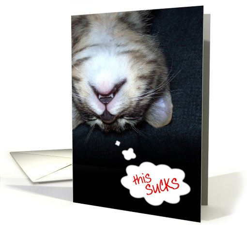 Get Well, This Sucks Cat card (608728)