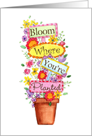 Bloom Where You’re Planted card