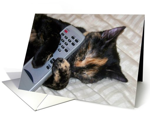 Belated Birthday Cat Humor card (690941)