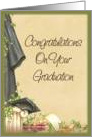 Ivy Cap and Gown Graduation card