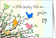 Happy Birthday - A birdy Told Me you’re 19 card