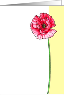 Veteran’s Day Poppy card