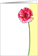 Veteran's Day Poppy