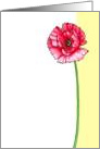 Veteran’s Day Poppy card