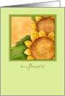 Sunflowers card