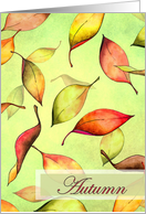 Autumn Leaves Card