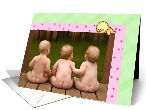 Sweet Chick Photo Insert Easter card (989413)