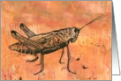 Grasshopper on Orange card