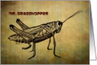Grasshopper Stripes Card