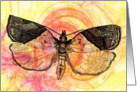 Light Brown Apple Moth yellow Card