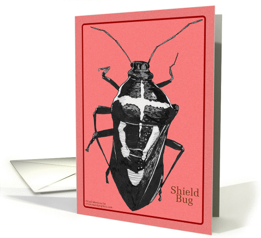 Shield Bug card (103884)