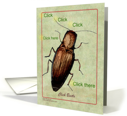 Click Together card (104046)