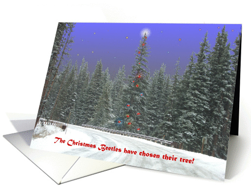 The Christmas Beetles' Tree card (109677)