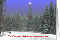 The Christmas Beetles’ Tree card