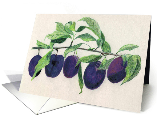 Sugar prune branch card (1848854)
