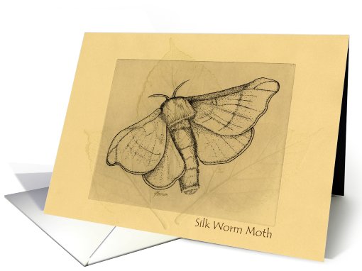 Silkworm Moth on Mulberry Leaves card (641018)