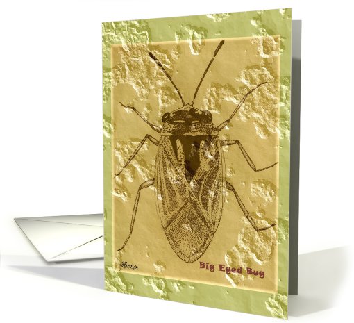 Big Eyed Bug card (641047)