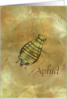 Aphid card