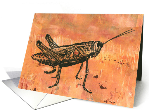 Grasshopper on Orange card (641592)