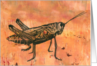 Grasshopper on Orange card