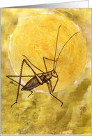 Sunny Cricket Jumper card