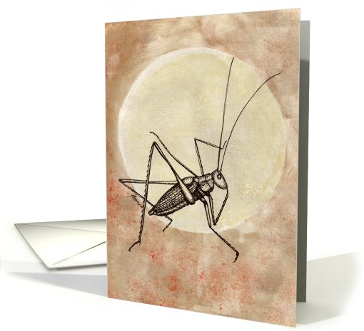 Moon Jumper Cricket card (641620)