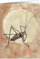 Moon Jumper Cricket card