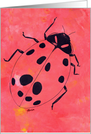 Ladybug, favorite insect card