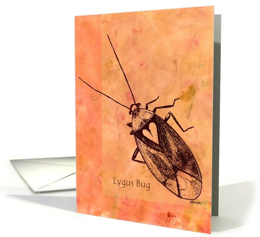 Lygus Bug on orange background card (641799)