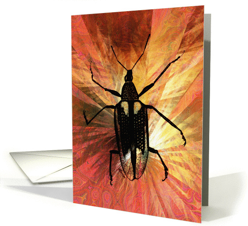 Diaprepes Root Weevil Sunburst card (870526)