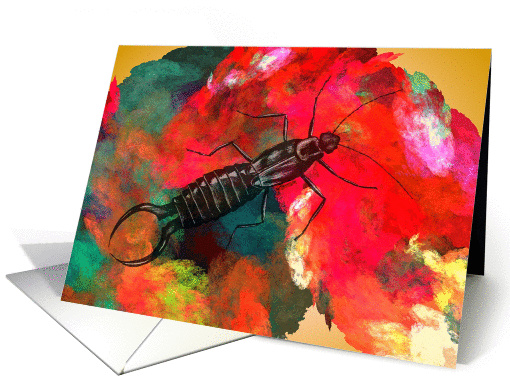 Earwig Pincher Bug Color Patch card (870528)