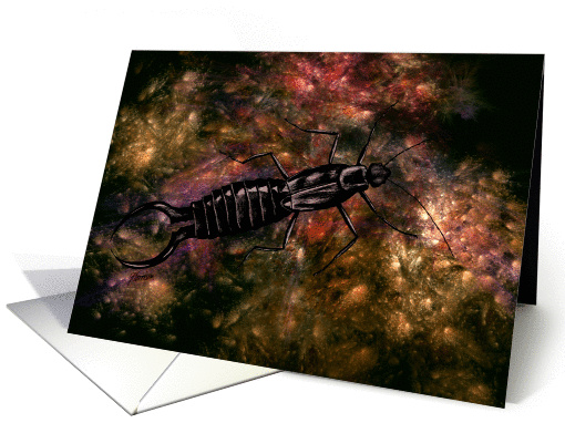 Copper Earwig Pincher Bug card (870576)