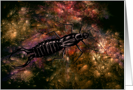 Copper Earwig Pincher Bug Card