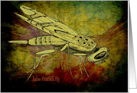 False Peacock Fly Card