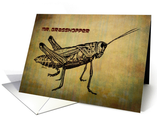 Grasshopper Stripes card (870579)