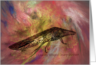 Glassy Winged Sharpshooter Card
