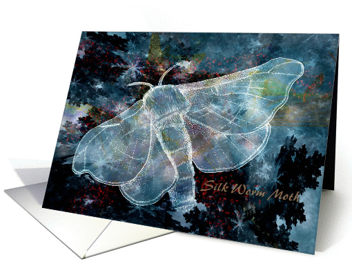 Blue Nocturnal Silk Worm Moth card (870583)