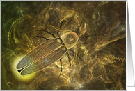 Outer Space Firefly Card