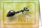 Ant Rampant card