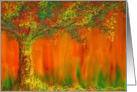 Orange Tree card