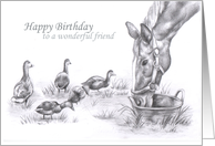 Happy Birthday to a wonderful friend card