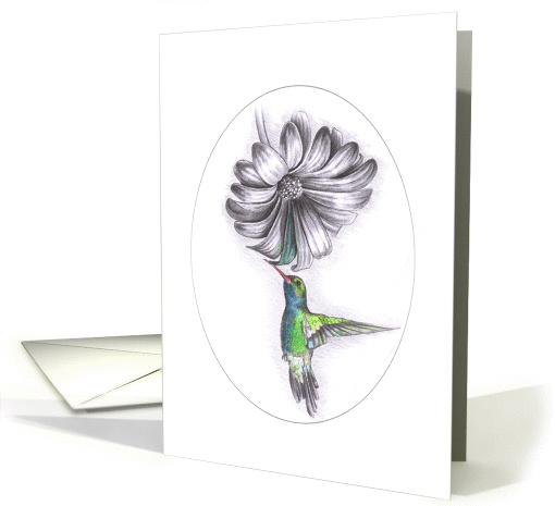 Touch of Colour - Hummingbird card (96212)