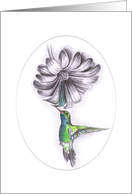 Touch of Colour - Hummingbird card