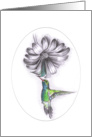 Touch of Colour - Hummingbird card