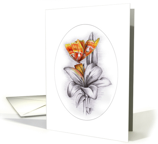 Touch of Colour - Butterfly card (96214)