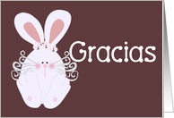 Gracias Thank You in Spanish card