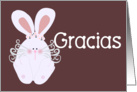 Gracias Thank You in Spanish card