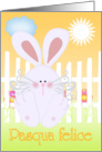 Pasqua Felice - Happy Easter in Italian card