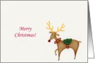 Merry Christmas Reindeer card
